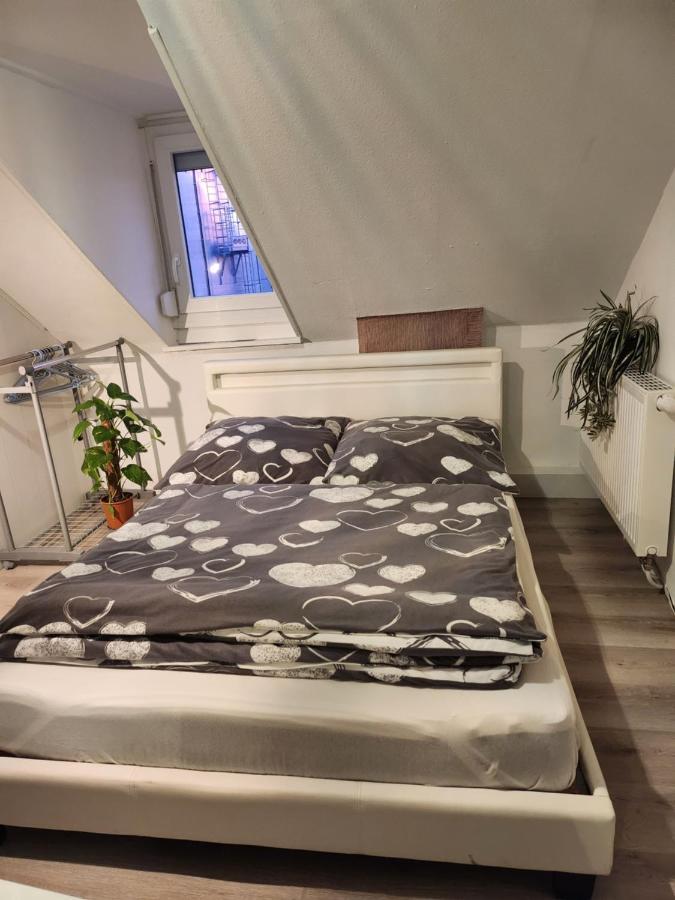 Gaestezimmer Sakowski Apartment Lörrach Екстериор снимка